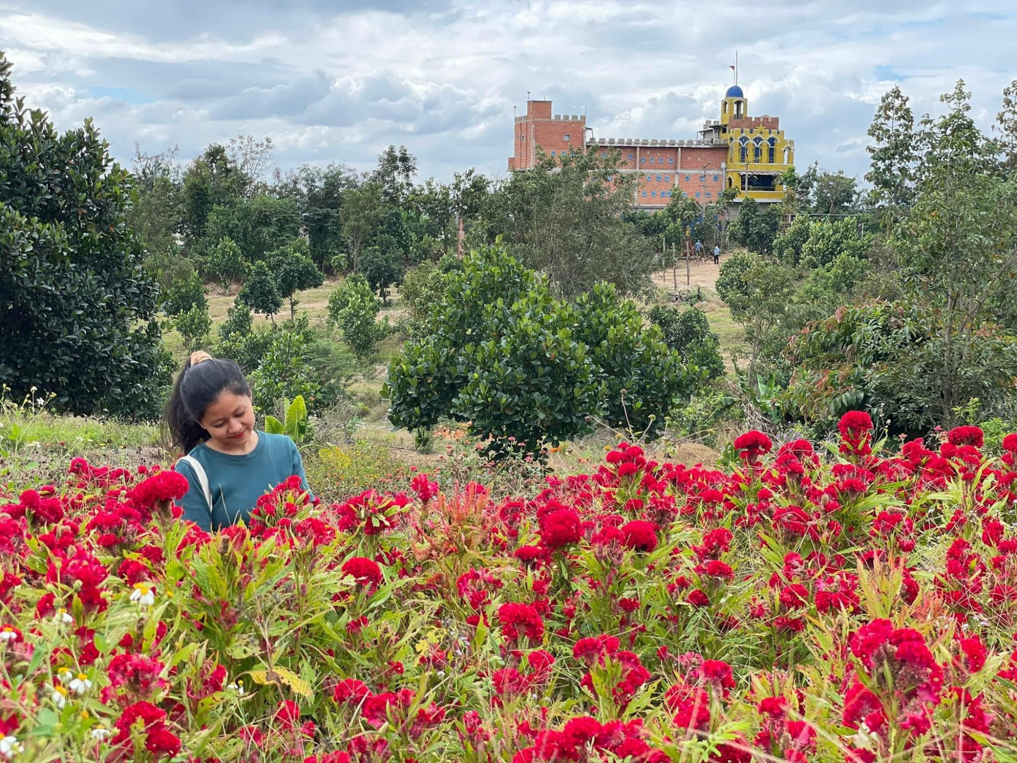 Với mong muốn gần gũi với thiên nhiên, anh Hưng trồng rất nhiều loại hoa lan, hoa hồng, hoa xiêm... xung quanh 'Lâu đài yến.