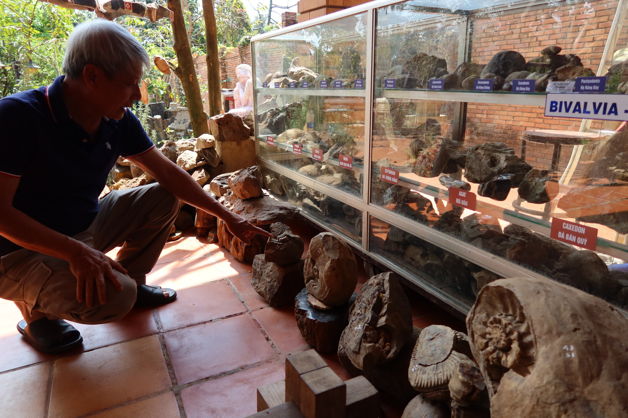 Hàng ngàn mẫu hóa cổ tại “bảo tàng đá” của ông Thành có giá trị to lớn về địa chất và cổ sinh địa tầng của mảnh đất Tây Nguyên. 