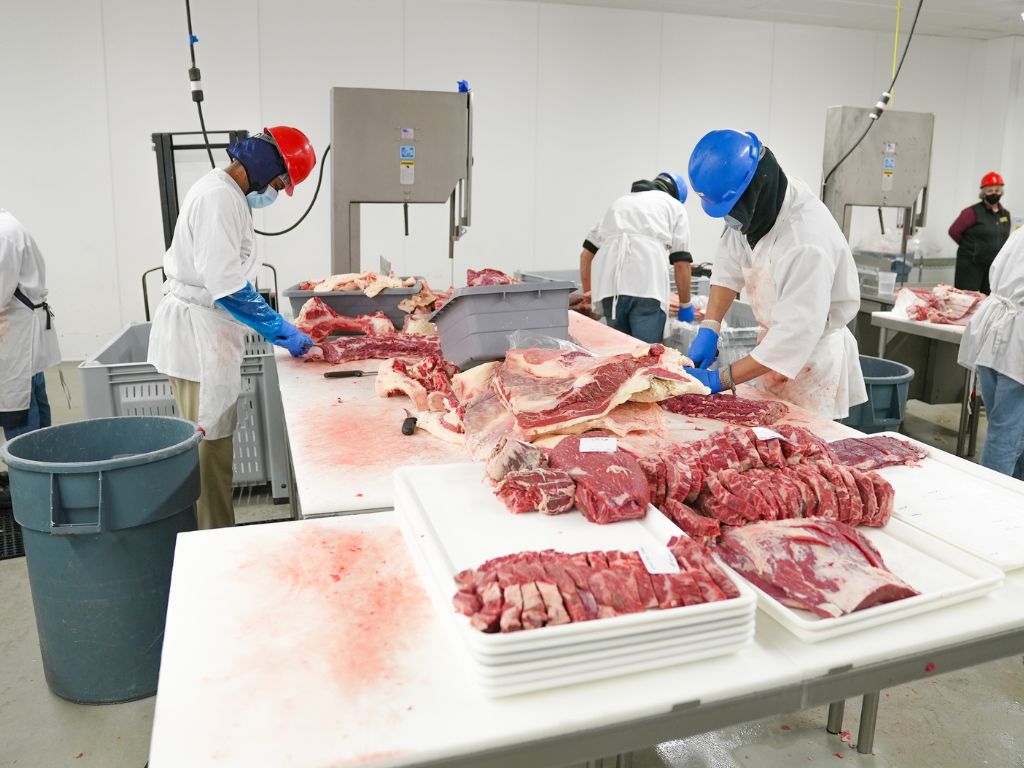 Tình trạng sử dụng lao động trẻ em trong ngành chế biến thịt tại Mỹ đang có xu hướng gia tăng - Ảnh: Pexels