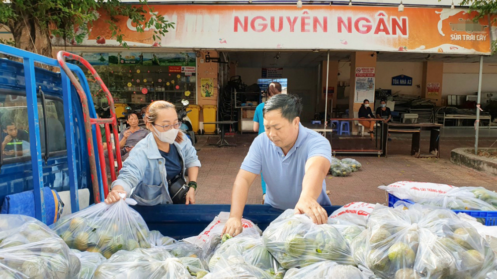 Người dân TP Cần Thơ “giải cứu” cam sành giúp nông dân Vĩnh Long