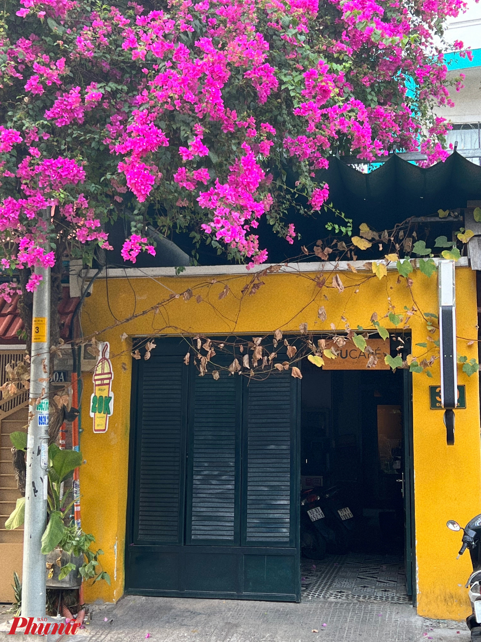 Một tiệm cà phê khác trên đường Đặng Tất có cây hoa giấy to phía trước. Màu tường 