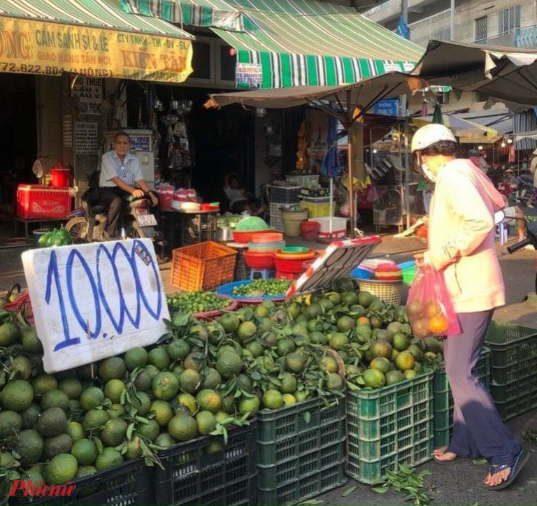 Tại các chợ lẻ TPHCM, nhiều điểm bán cam sành Vĩnh Long giá chỉ 10.000 đồng/kg - Ảnh: Nguyễn Cẩm