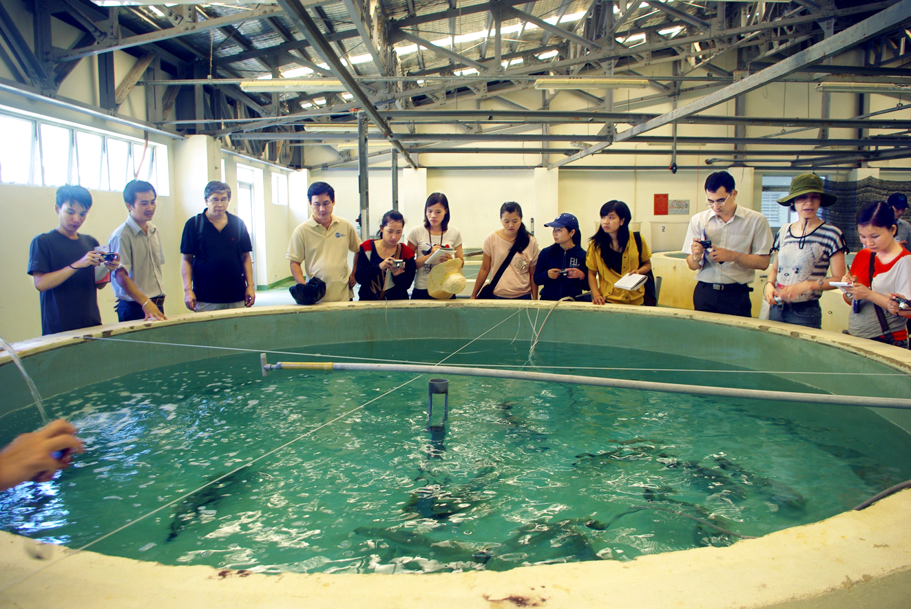 Sinh viên Khoa Thủy sản (chuyên ngành ngư y) Trường đại học Nông Lâm TPHCM thực tập rèn nghề sản xuất giống cá biển có giá trị kinh tế cao tại Nha Trang, Khánh Hòa - ẢNH: T.Đ.