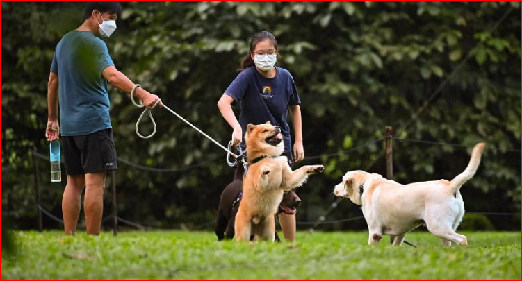 Nghiên cứu được tài trợ bởi Trung tâm kiểm soát và phòng ngừa dịch bệnh Hàn Quốc, và bài báo đã được xuất bản trong Rối loạn nhiễm trùng mới nổi, một tạp chí y khoa được xuất bản bởi Trung tâm kiểm soát và phòng ngừa dịch bệnh của Hoa Kỳ. 