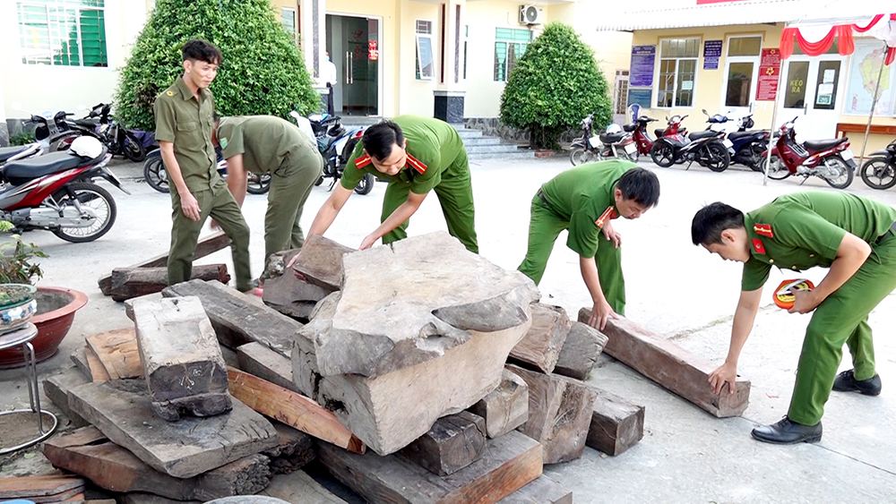 Lực lượng công an kiểm tra số gỗ không rõ nguồn gốc