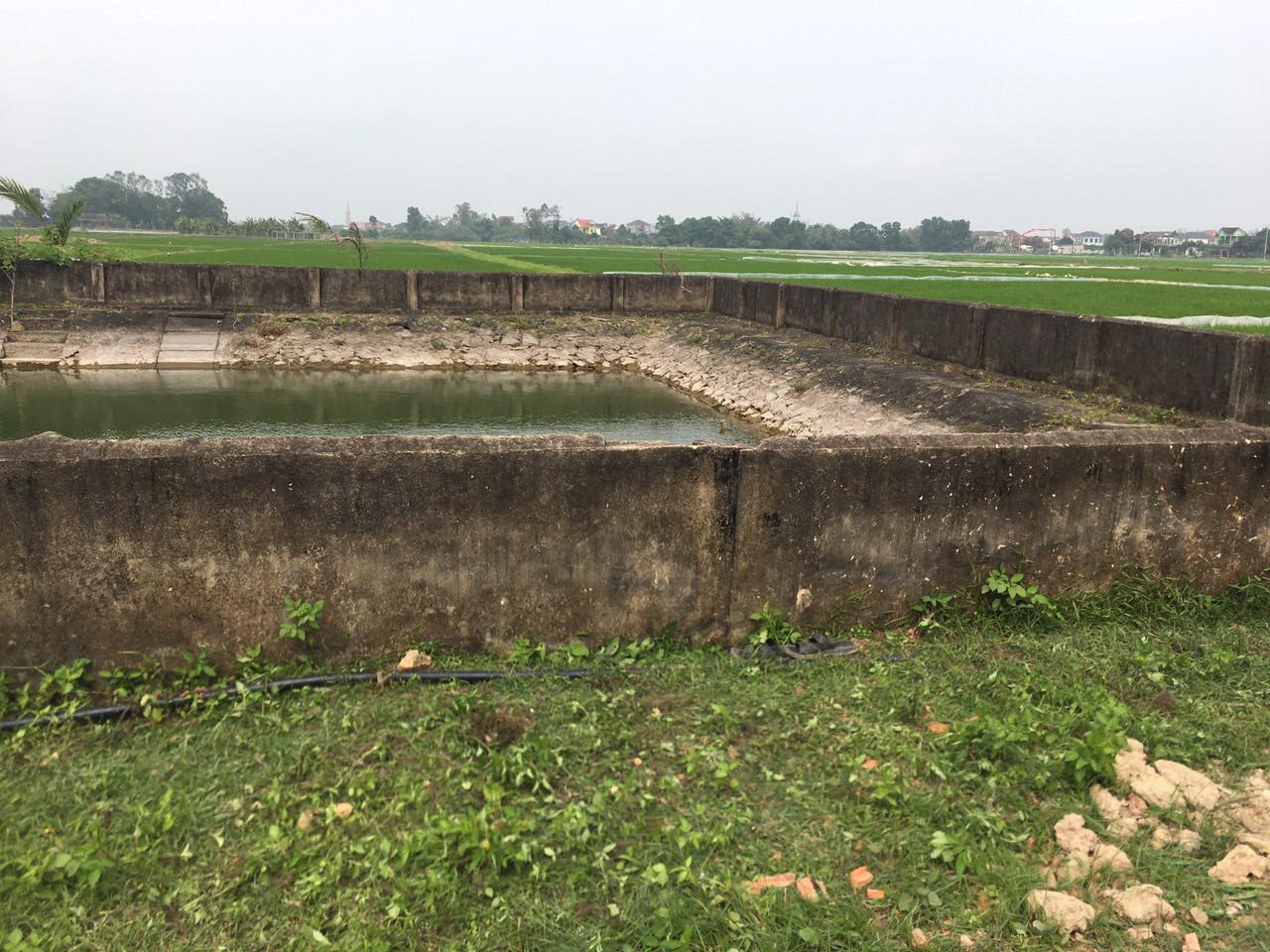 Khu vực giếng làng thôn Ban Long, nơi xảy ra vụ việc - Ảnh: Khánh Trung