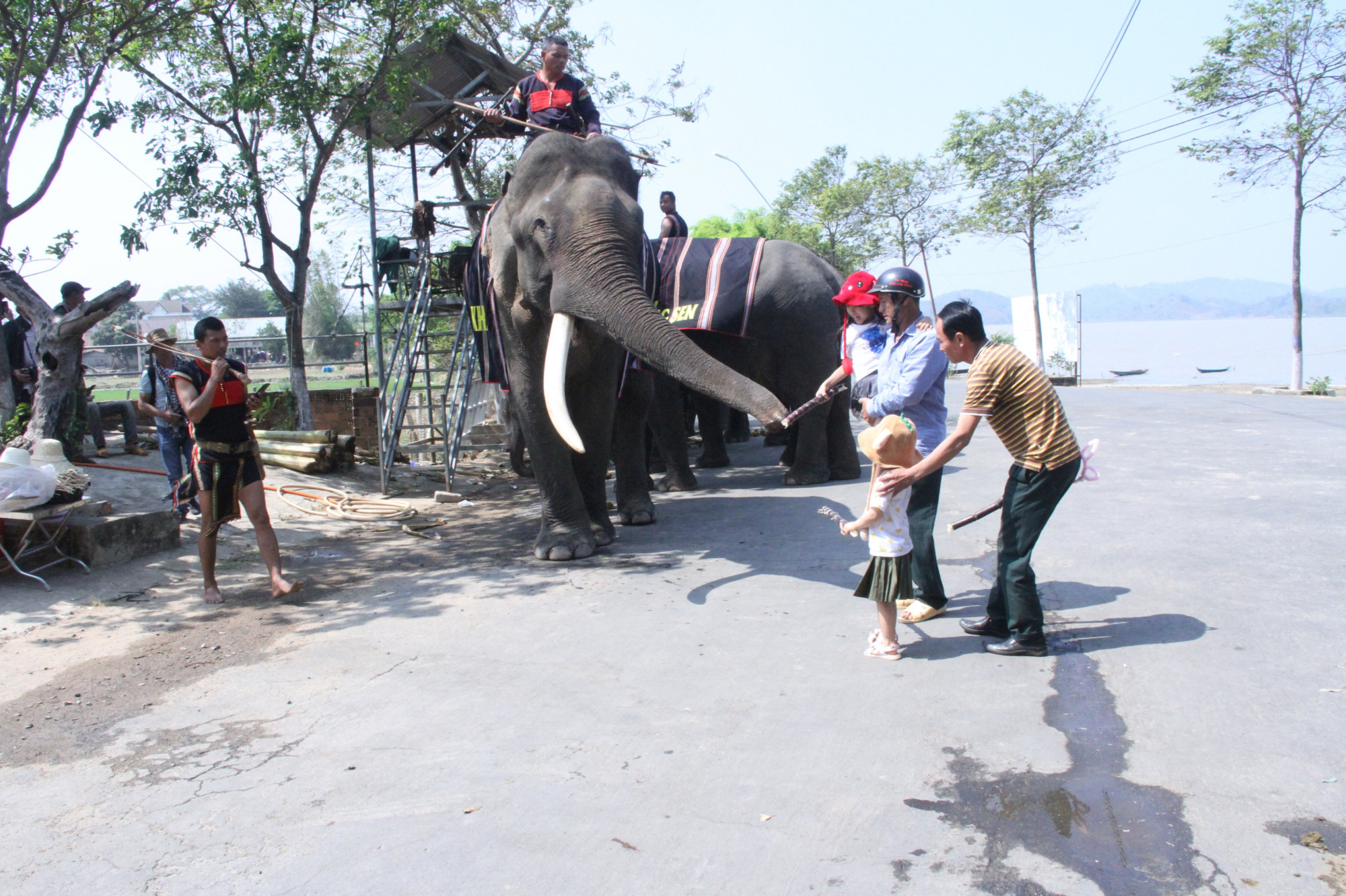 Nhiều du khách tỏ ra thích thú khi được đến gần và thân thiện với voi.