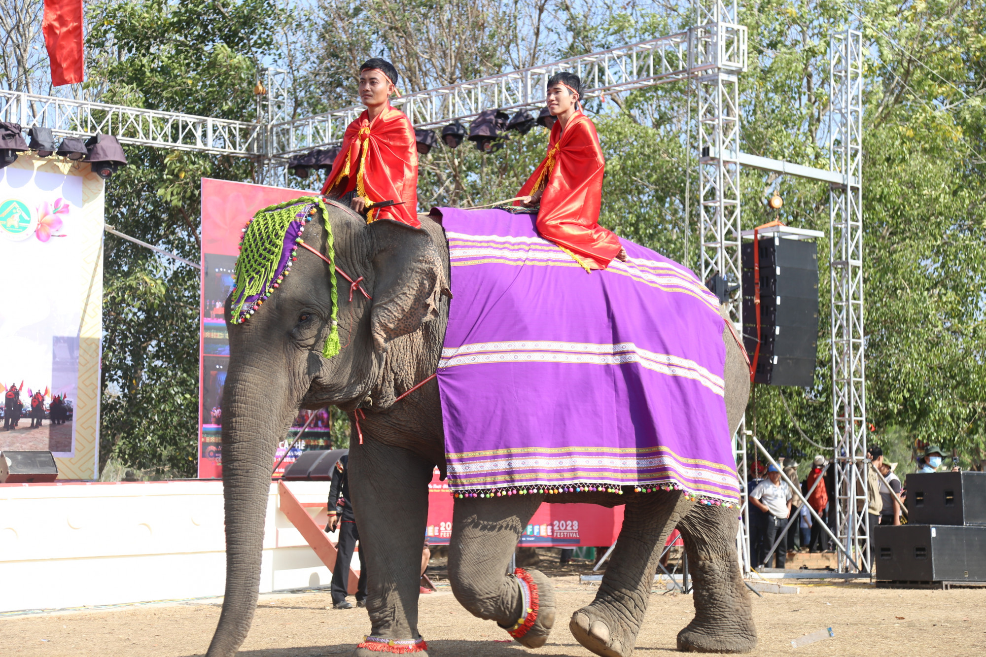 Tại Hội voi Buôn Đôn năm 2023, voi không còn phải tham gia các cuộc thi đua voi, đá bóng. Đặc biệt, voi được trang điểm bằng những sắc màu sặc sỡ.