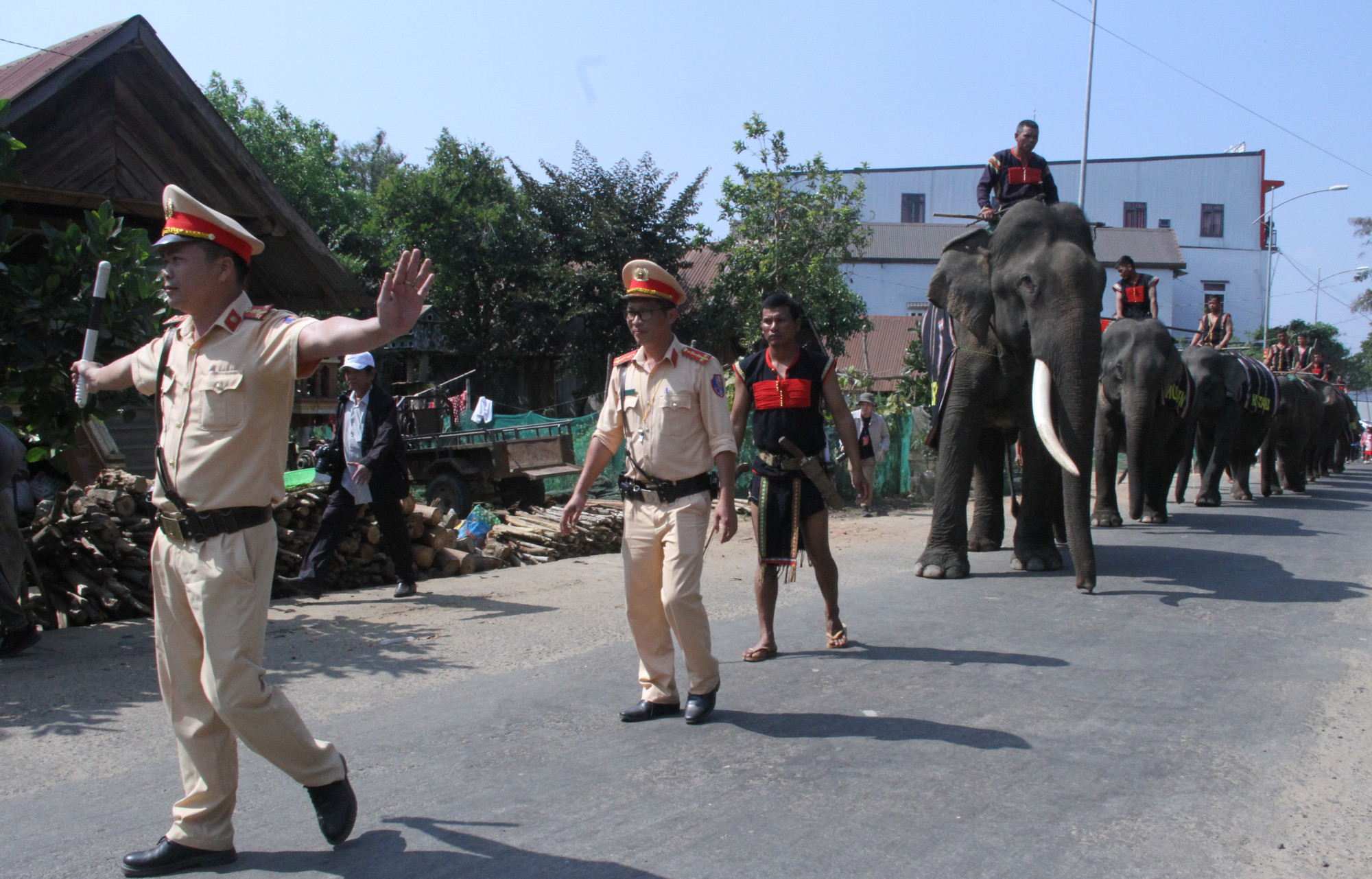 Ngay sau khi lễ cúng sức khỏe, đàn voi diễu hành trên đường để chào người dân và du khách.