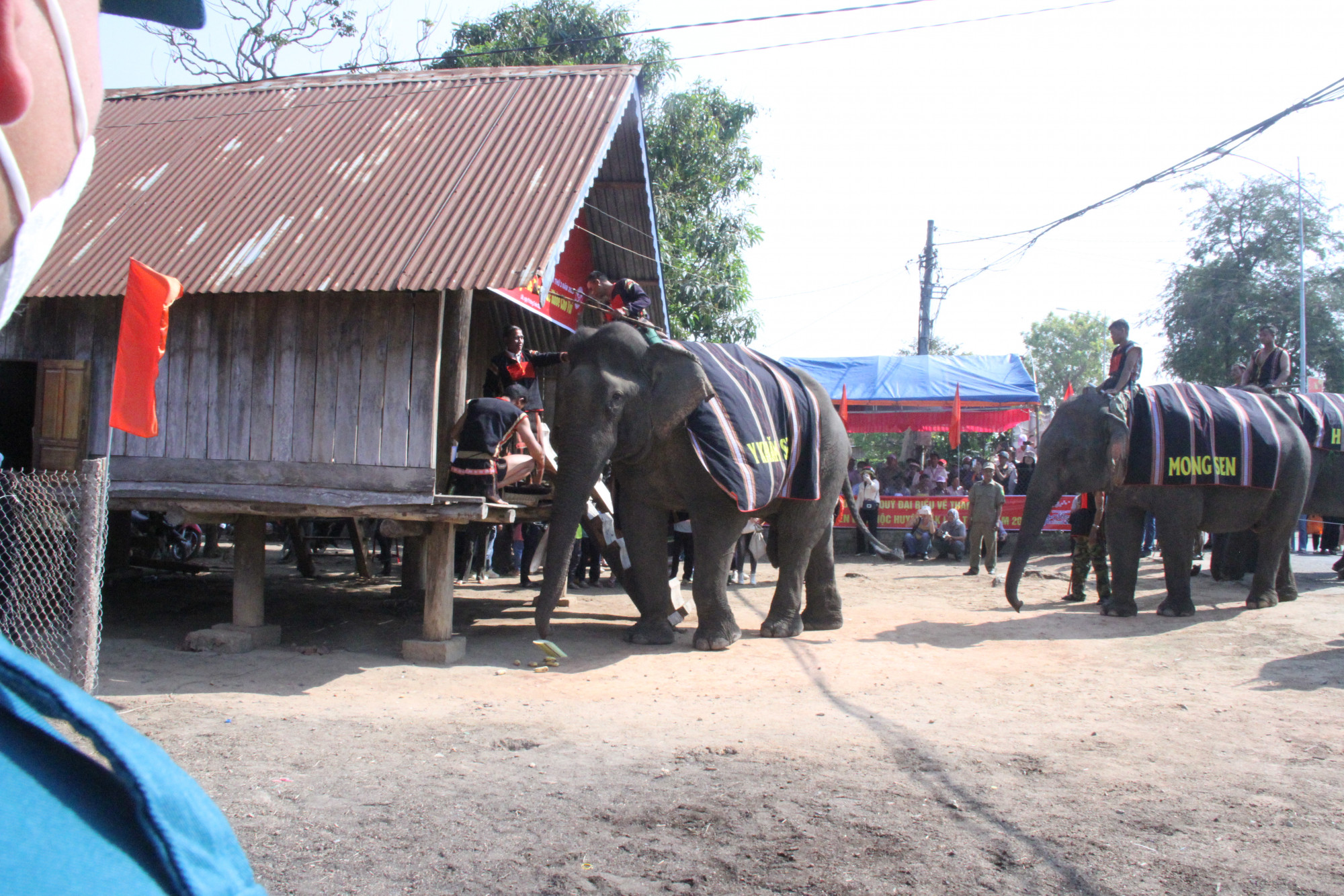 Tại buôn Lê (thị trấn Liên Sơn, huyện Lắk, tỉnh Đắk Lắk), chính quyền huyện Lắk (tỉnh Đắk Lắk) và người dân đã tổ chức lễ cúng sức khỏe cho đàn voi nhà 