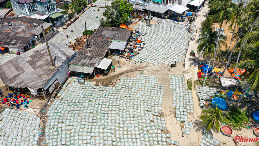 Hàng ngàn khay cá được phơi trên nền xi măng ven biển thôn An Vĩnh - ảnh Thanh Vạn