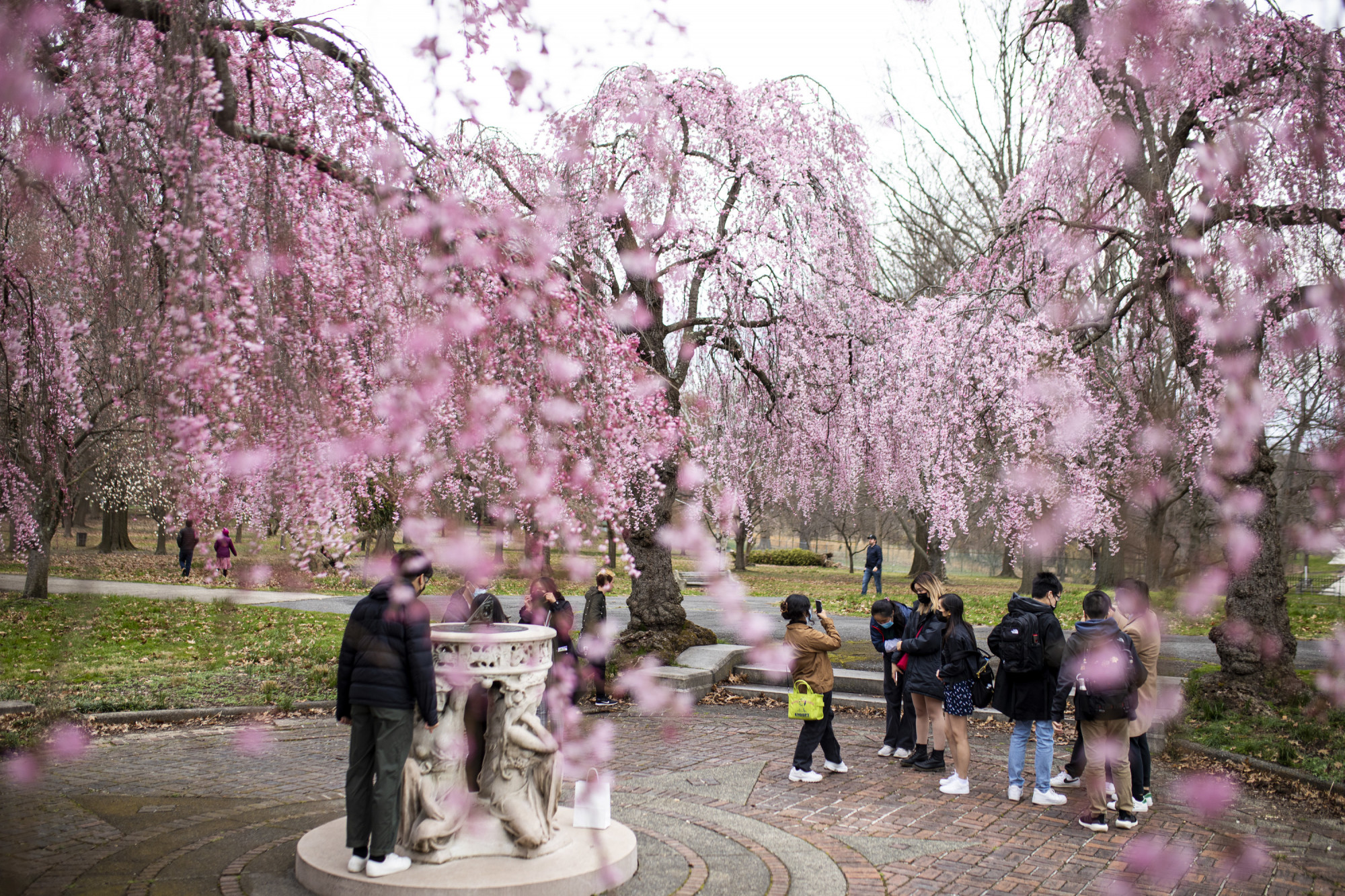 7. Công viên Fairmount, Philadelphia, Pennsylvania Thời điểm trải nghiệm vào năm 2023: Lễ hội hoa anh đào Subaru diễn ra vào ngày 15–16 tháng 4   Được trồng vào năm 1926 như một món quà từ người dân Nhật Bản, hàng loạt cây hoa anh đào nở hoa làm biến đổi Công viên Fairmount mỗi năm – và chiếm vị trí trung tâm tại Lễ hội Hoa anh đào Subaru ở Greater Philadelphia . Sự kiện cuối tuần vào đầu tháng 4 này kết hợp các buổi gấp giấy origami, lớp học làm sushi và biểu diễn đánh trống; Các cuộc đua Cherry Blossom 5K và 10K diễn ra vào cuối tuần sau đó, tiếp tục các lễ hội.