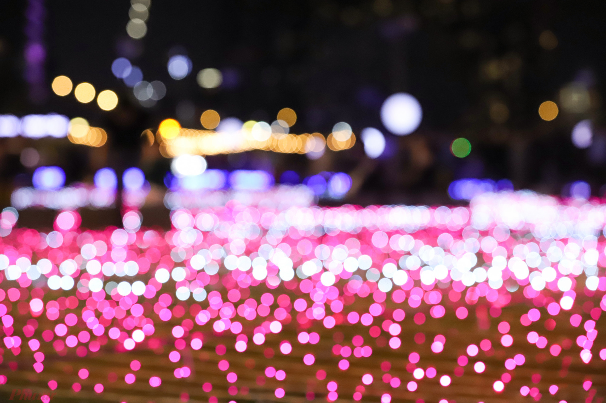 Hàng nghìn bóng đèn LED tỏa sáng lung linh.