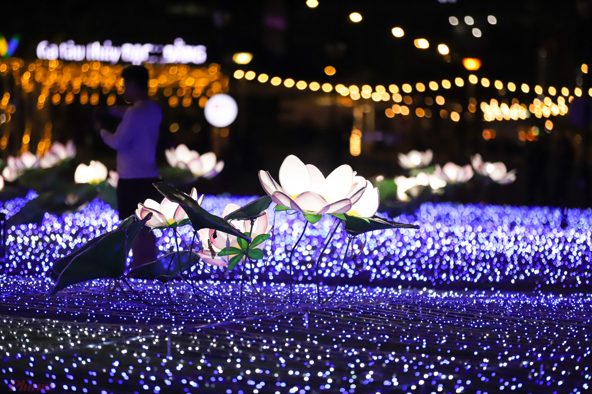 oạt động trang trí đèn nghệ thuật xoay quanh 2 chủ đề chính là Hồ Sen Việt Nam được lấy cảm hứng từ những đóa sen nở tươi tắn khoe sắc trên nền nước trong xanh và Khu vườn Sakura, loài hoa đặc trưng của đất nước Nhật Bản. 