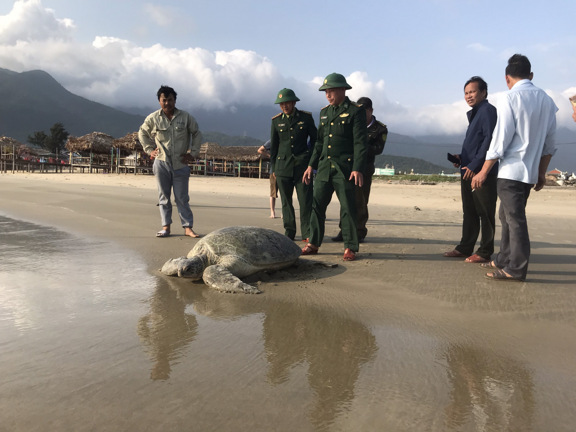 Cá thể vích nặng gần 100kg