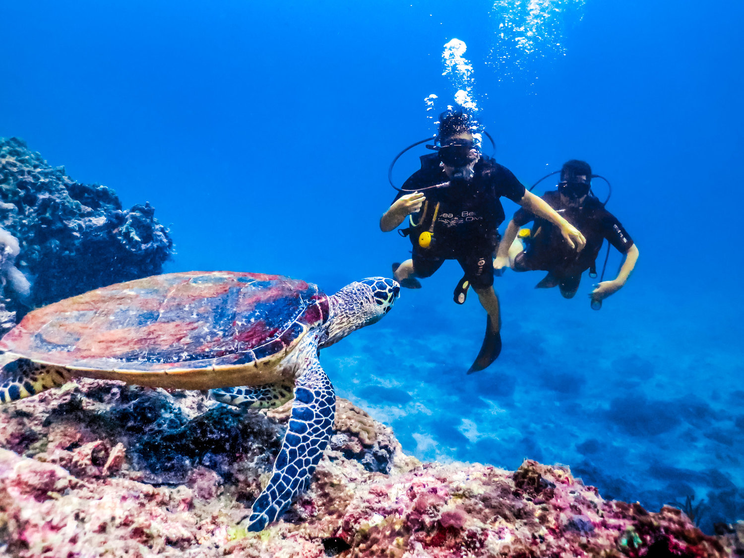 Tham gia lặn biển ở Koh Phi Phi  Đã du lịch đến Koh Phi Phi rồi thì nhất định không bỏ qua hoạt động lặn biển tại đây. Bạn sẽ có dịp mãn nhãn với hệ sinh thái biển tại đây với các rạn san hô đầy màu sắc và thực vật biển vô cùng phong phú, đa dạng,.   lan-bien-dao-phi-phi  Lặn ngắm san hô tại đảo Koh Phi Phi (Ảnh: Sưu tầm)   Bạn có thể tham gia lặn biển tại Koh Bida Nok & Nai, vịnh Maya hoặc King Cruiser,... Một lưu ý dành cho bạn là không nên tự lặn biển mà hãy mua tour lặn hoặc cần có sự hướng dẫn để đảm bảo an toàn.   Hãy thêm đảo Koh Phi Phi vào list những điểm nhất định phải đến khi du lịch Thái Lan. Khám phá thiên đường nghỉ dưỡng với những khung cảnh tuyệt đẹp, thưởng thức những món ăn ngon sẽ đem lại cho bạn một trải nghiệm hoàn toàn mới đó. 