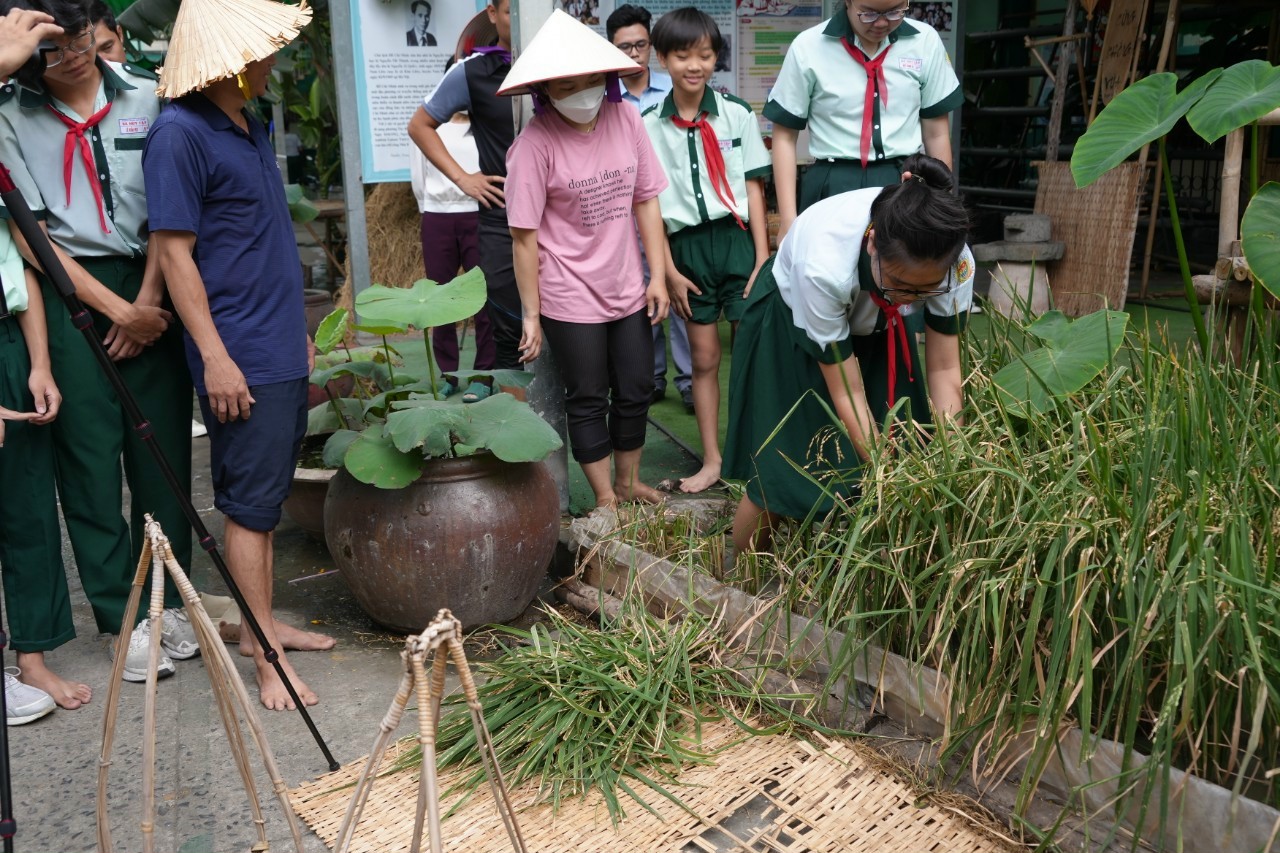 Ngay trong sân trường, học sinh được trải nghiệm lội ruộng gặt lúa