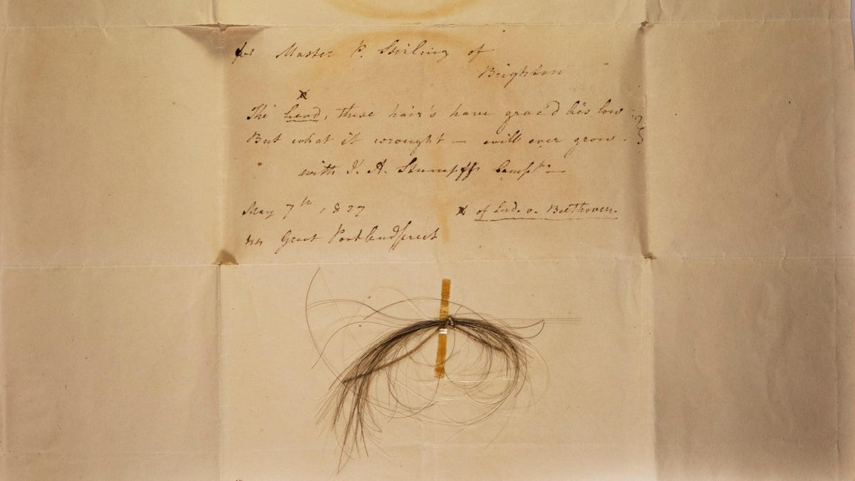 Nhiều mẫu tóc của Beethoven được bảo quản. Chúng thuộc sở hữu của tư nhân hoặc 