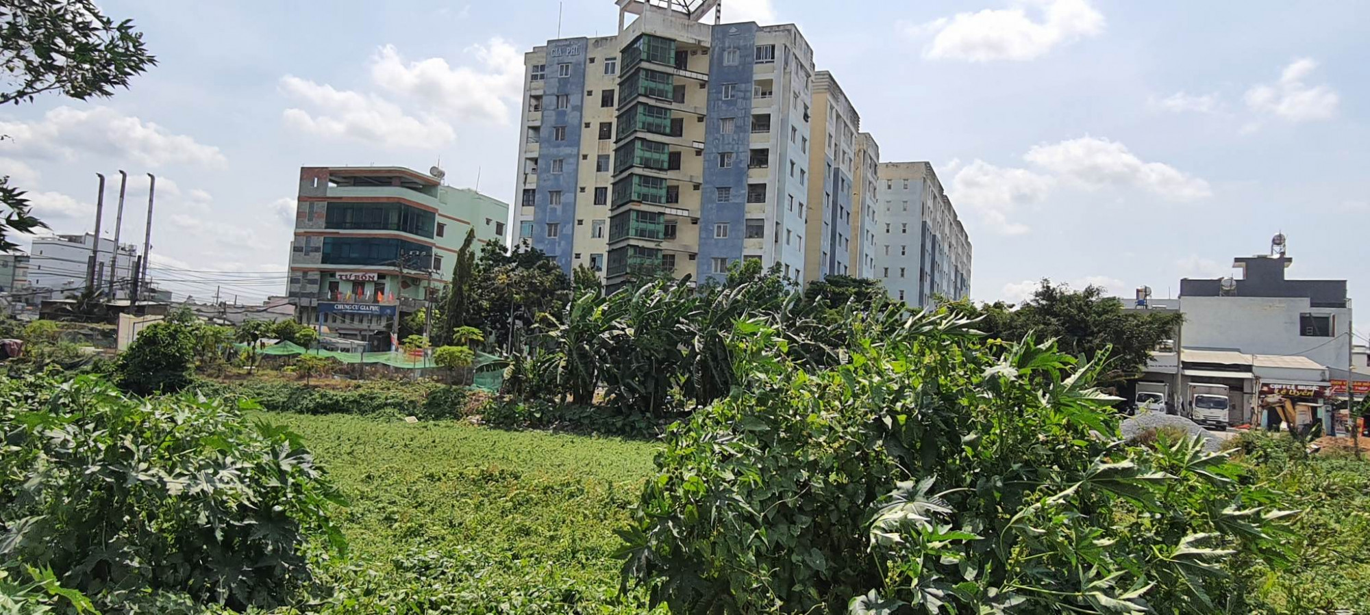 Hàng chục sổ hồng tại chung cư Gia Phú bị chủ đầu tư
