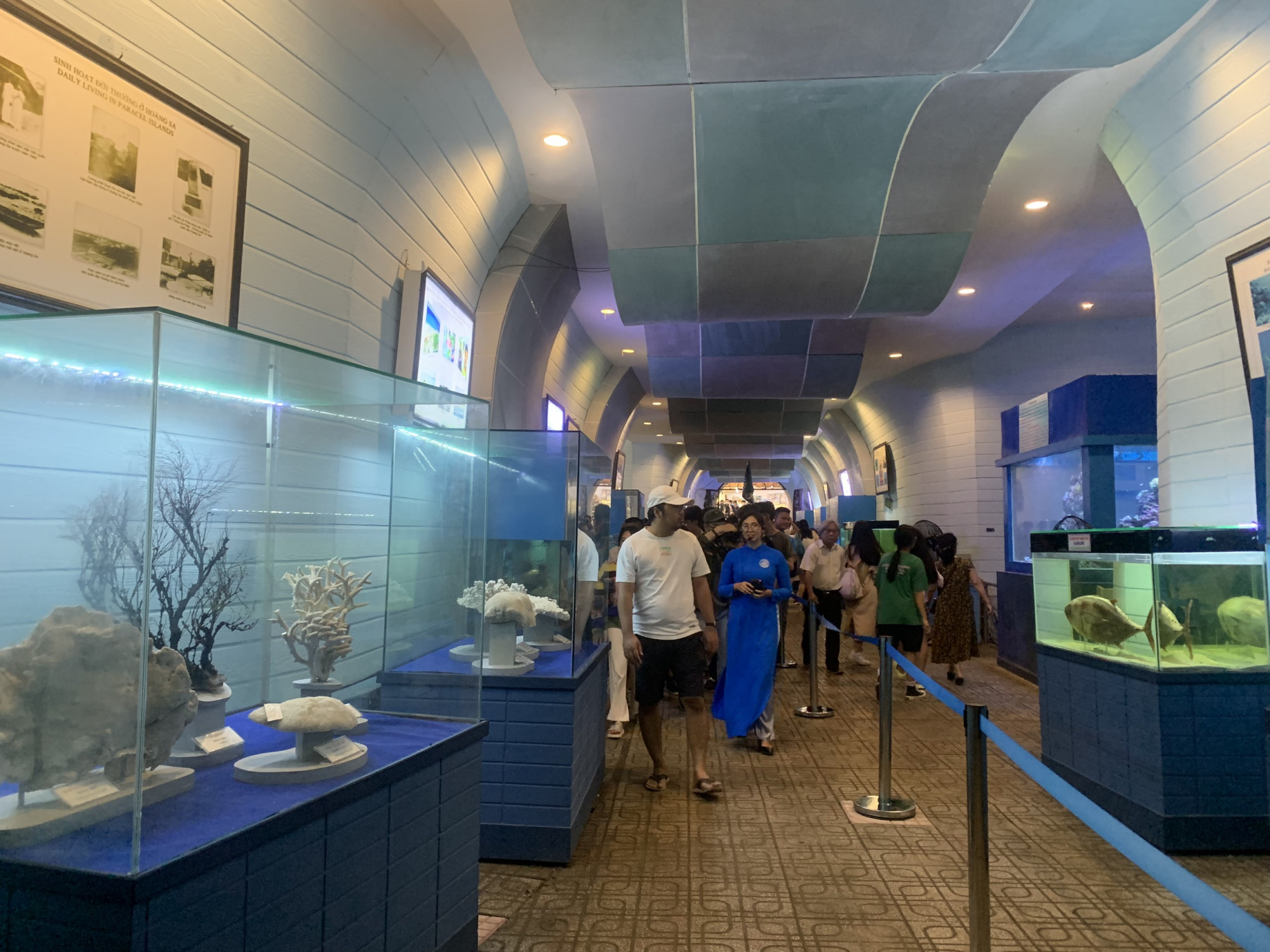 Mỗi ngày có rất đông du khách đến tham quan, tìm hiểu về sinh vật biển tại đây