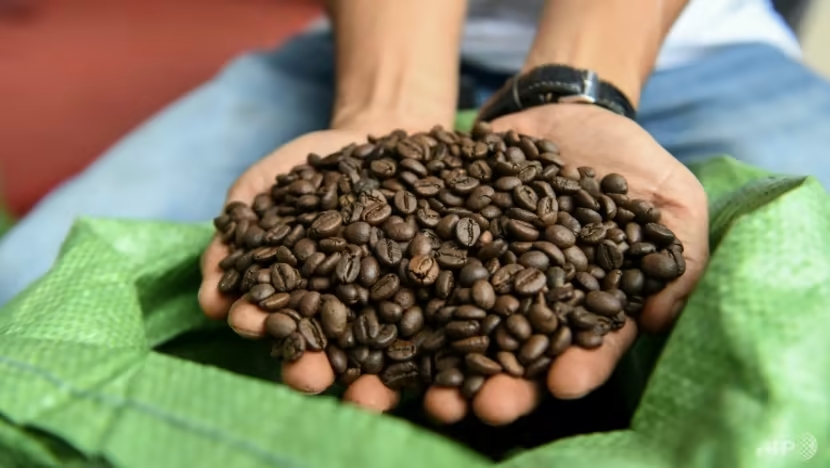 Cà phê Robusta vốn không được ưa chuộng, nhưng một nhóm nhỏ nông dân ở Việt Nam đang cố gắng thay đổi định kiến về loại cà phê này.