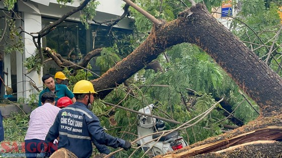 Hiện trường vụ việc. Ảnh: CHÍ THẠCH/Báo SGGP