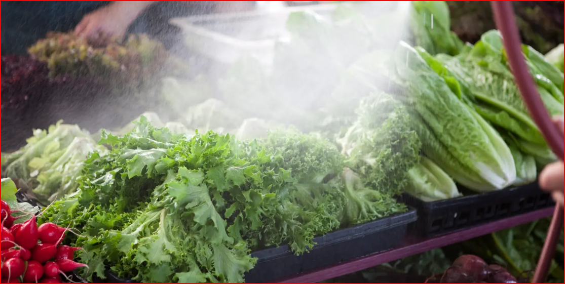 Các loại rau lá xanh, chẳng hạn như rau diếp romaine và hỗn hợp salad đóng gói, có liên quan đến 11 trường hợp tử vong, 614 ca bệnh và 50 vụ thu hồi/đợt bùng phát.