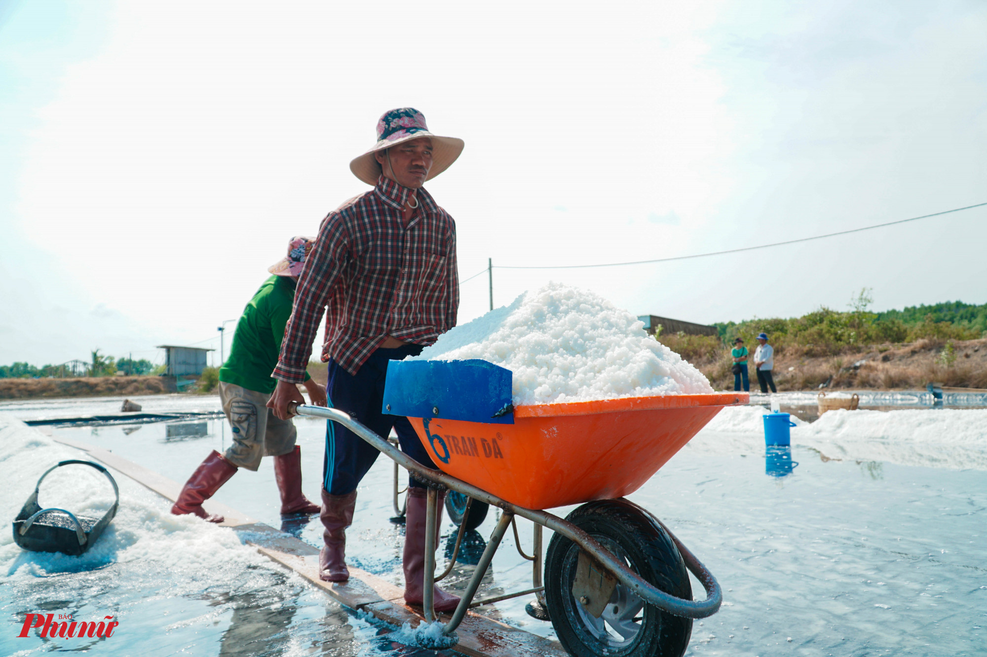 Để nâng cao năng suất, người dân làm muối đã dùng xe đẩy, thay vì phải gánh muối như trước đây