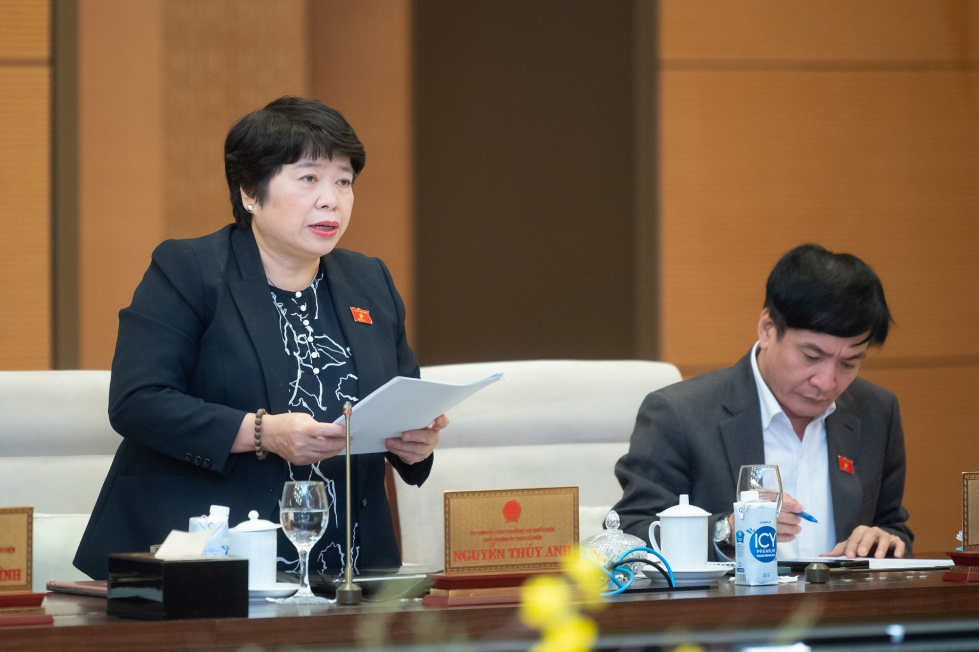Bà Nguyễn Thúy Anh - Chủ nhiệm Ủy ban xã hội của Quốc hội - trình bày báo cáo giám sát