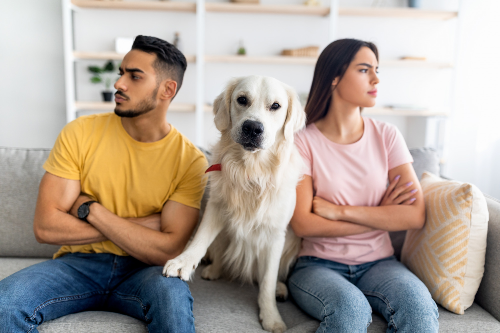 Nhiều gia đình ở nước Anh đang lo lắng sẽ bị mất quyền nuôi, chăm sóc thú cưng khi họ ly dị - Anh;  123rf.com