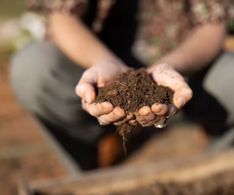 ĐẤT BẦU LÀ GÌ? Đất bầu có vô số công dụng cho người làm vườn. Nó được sử dụng để trồng trên những cây đã được cấy từ khay hạt của chúng và cũng được sử dụng như một phương tiện để trồng cây trên luống, thùng chứa hoặc chậu.   Liên kết được Tài trợ Nếu bạn sở hữu một con chuột, bạn sẽ không bao giờ tắt máy tính nữa. Cơ sởAttackForce Nó được tạo thành từ hỗn hợp các nguyên tố khoáng của cát, đất sét và mùn tạo nên đất và các vật liệu hữu cơ khác. Nó cũng có thể bao gồm các yếu tố như rêu than bùn hoặc đá trân châu và mang lại những lợi thế bao gồm thoát nước tốt hơn và nhẹ hơn đất vườn.