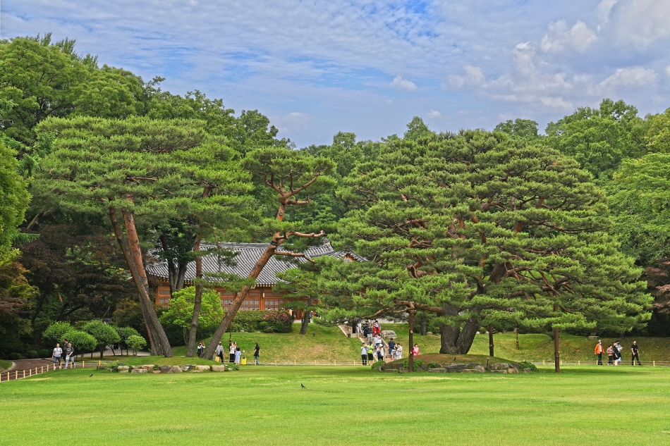 Vườn Nokjiwon được ca ngợi là khu vườn đẹp nhất ở Cheong Wa Dae cũng hút khách không kém. Tại đây, mọi người cũng có thể tìm thấy những cây kỷ niệm do đích thân các cựu tổng thống trồng. Vào mùa xuân, Vườn Nokjiwon tổ chức các sự kiện thường niên để ghi nhận những dịp đặc biệt.