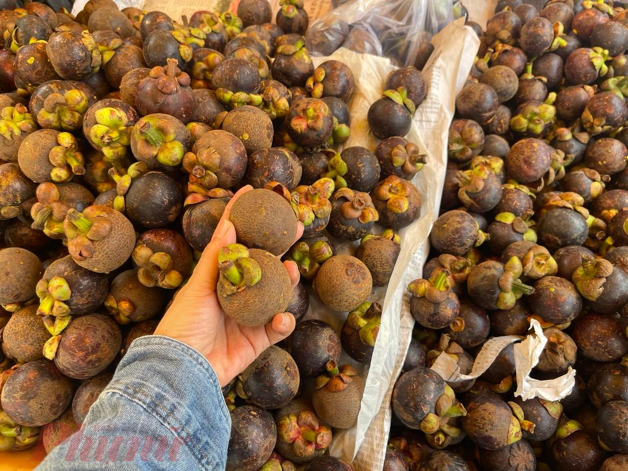 Măng cụt Thái Lan trái nhỏ giá 60.000 - 80.000 đồng/kg, mức giá này cao gấp 3 - 4 lần so với cùng kỳ năm trước - Ảnh: Nguyễn Cẩm