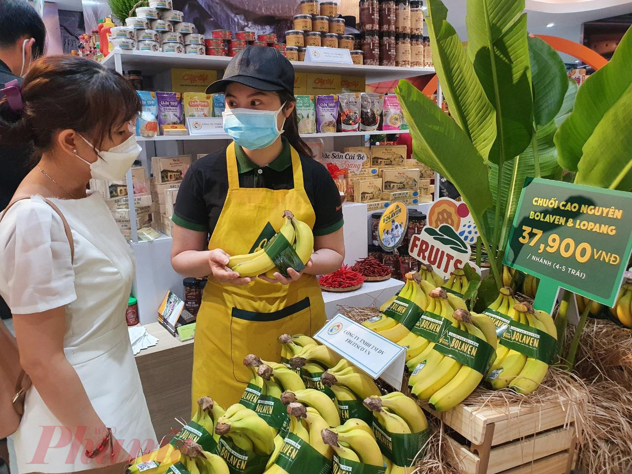 Chuối là một trong những mặt hàng Nhật Bản, Hàn Quốc nhập khẩu nhiều nhưng thị phần xuất khẩu chuối của Việt Nam sang thị trường này còn hạn chế - Ảnh: Nguyễn Cẩm