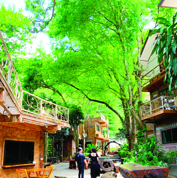 Không gian sống xanh tại Khao Yai