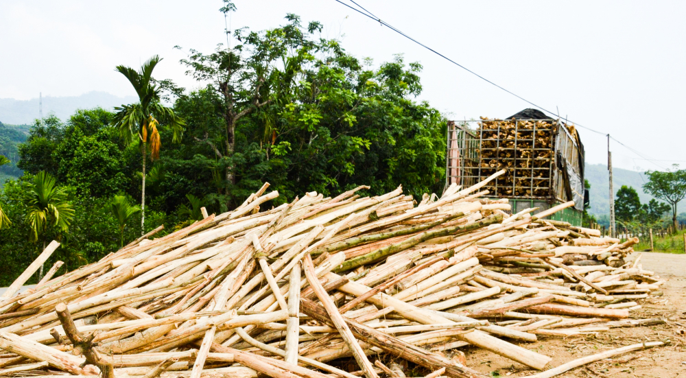 Các điều kiện về đất đai, đăng ký kinh doanh, quy định về an toàn giao thông... sẽ được chính quyền hướng dẫn