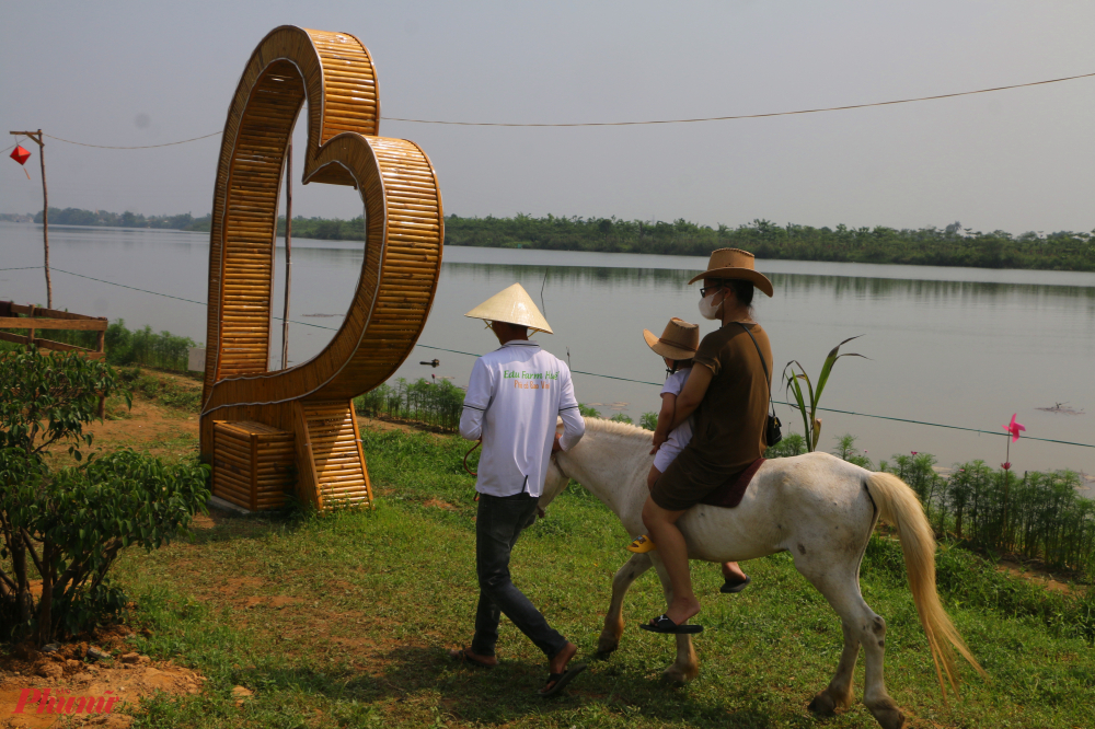 Thả hồn mình trên những chú ngựa đễ thương để ngắm hoàng hôn trên sông Hương nhìn từ  Edufarm Huế ở Khu vực Cồn Nhỏ 