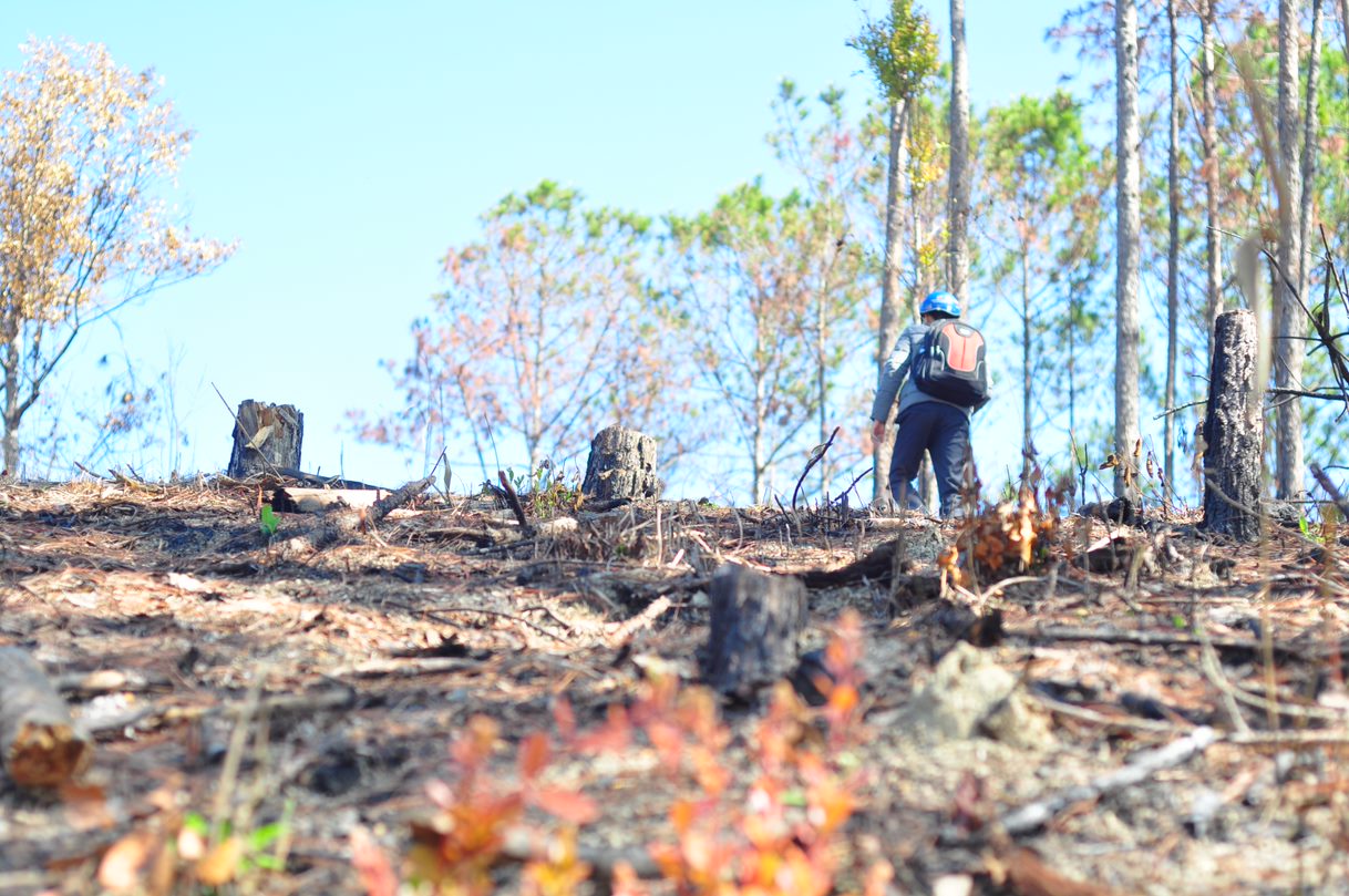 Một khu vực rừng tại huyện Đam Rông bị đốt phá được lực lượng chức năng phát hiện. Ảnh: Nhật Linh.