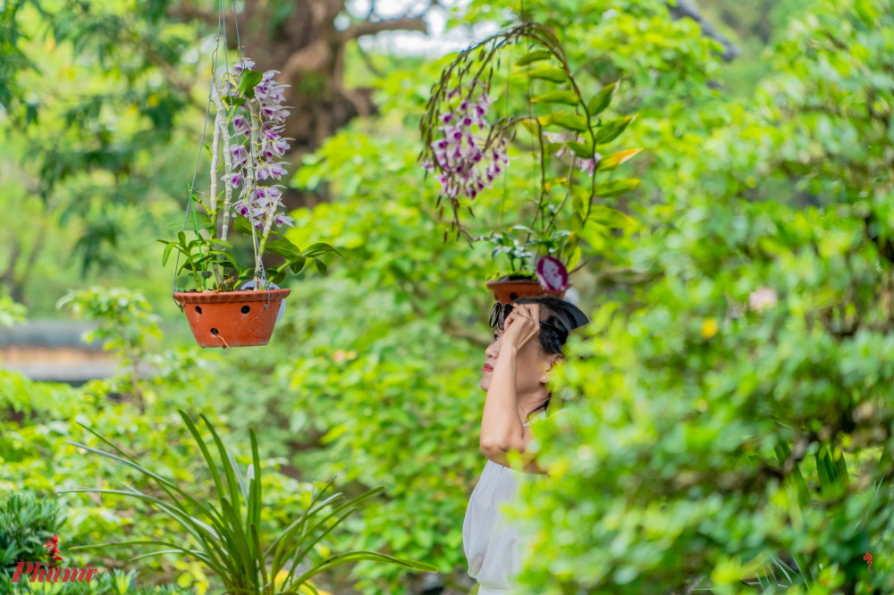 của hàng trăm tác phẩm hoa phong lan, cây kiểng, đá cảnh nghệ thuật cùng hơn 300 nghệ nhân đến từ 3 miền của đất nước cùng có mặt ở vườn Thượng Uyển để tỏa hương sắc