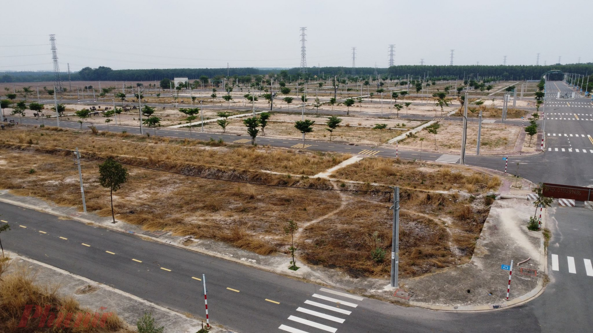 Cạnh dự án Tuấn Điền Phát 3 là nối liền 3 dự án khác gồm dự án Phúc Đạt Gold City Bàu Bàng, dự án khu đô thị Golden Future City, dự án Urban Dream Bàu Bàng cũng rơi vào tình trạng hoang tàn, cỏ mọc. 