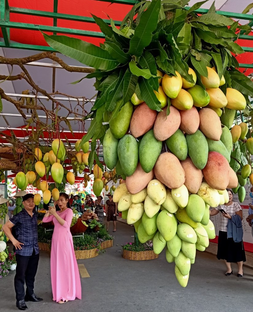 Nhiều du khách tham quan gian hàng trưng bày xoài tại TP Cao Lãnh (Đồng Tháp)