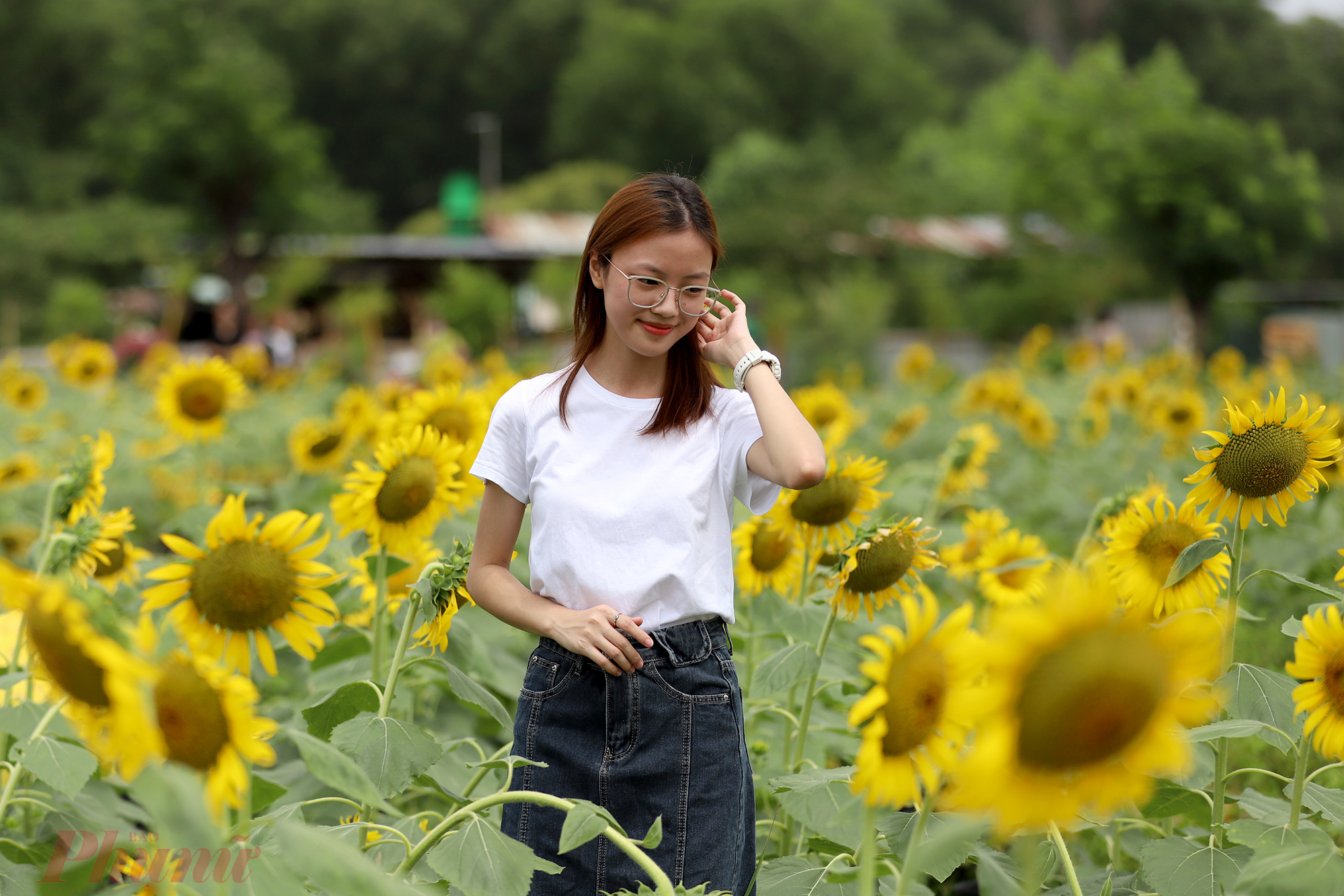 'Cuối tháng 5 em được nghỉ hè nên đợt lễ này không về quê, nhân dịp ở lại thành phố nên em cùng các bạn đến đây vui chơi. Dù khách khá đông nhưng không đến nỗi chen chúc như các điểm khác, không khí cũng mát mẻ', bạn Kiều Anh, quê Nghệ An chia sẻ.