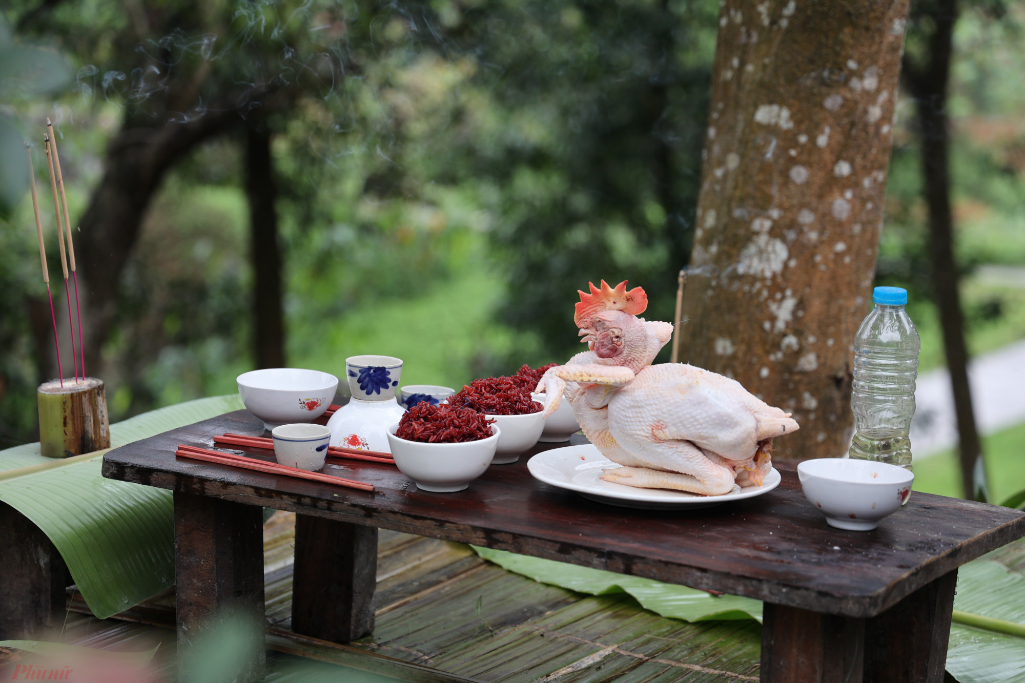 Chủ nhà hành lễ, cúng ngũ phương ở đàn trời trước cửa nhà chính (Cúng gà sống, rồi luộc gà và dâng lễ cùng xôi 7 mầu).