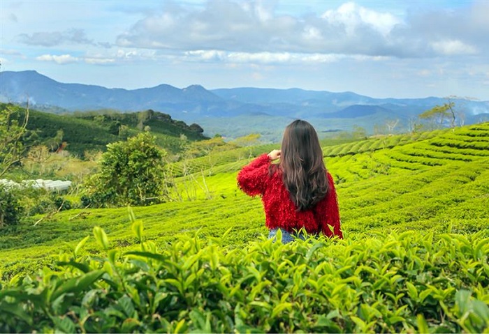 Ảnh mang tính minh họa - Divui.com