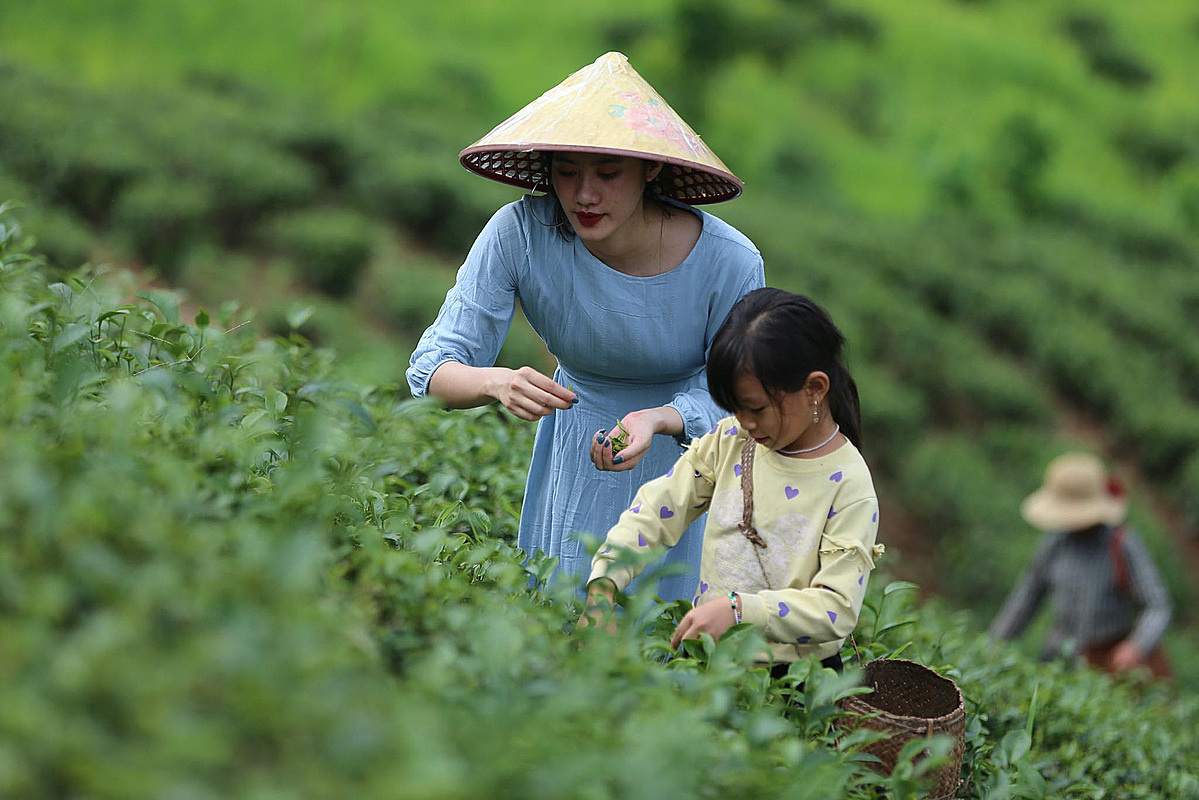 Ảnh mang tính minh họa 