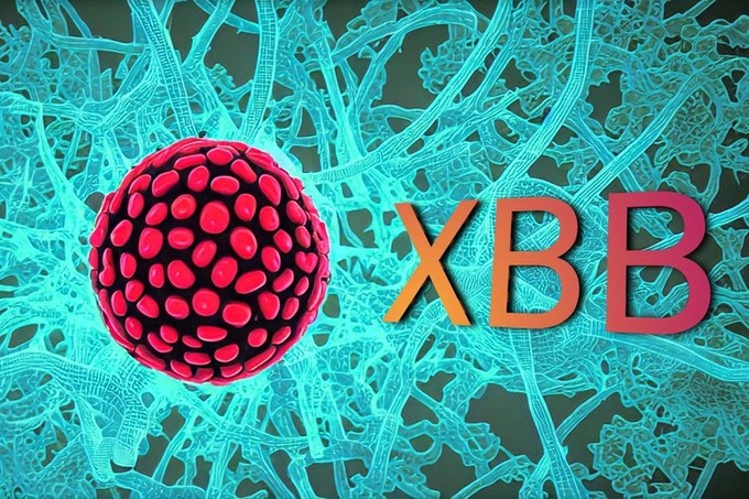 Chủng XBB.1.5 đang chiếm tỷ lệ cao nhất trong số các mẫu bệnh phẩm được giải trình tự gen. Đây là chủng virus phổ biến nhất tại Mỹ trong thời gian qua