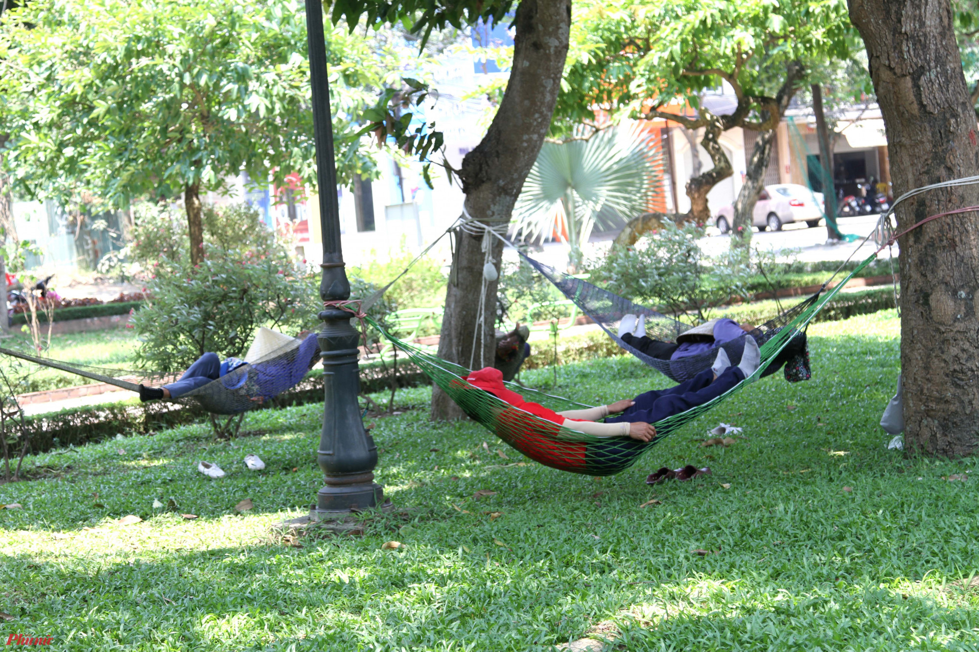 Nhiều người mang theo võng ra mắc dưới các gốc cây để ngủ trưa.