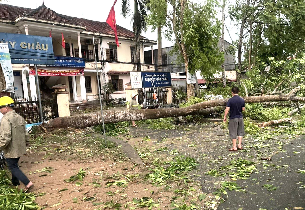 Hàng loạt cây xanh bị gãy đổ sau trận giông lốc - Ảnh: Khánh Trung