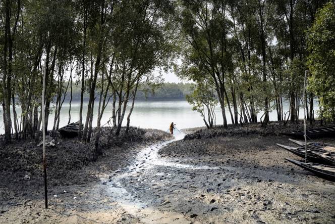 Rừng Sundarbans ở phía nam Bangladesh là khu rừng ngập mặn lớn nhất thế giới. Nhiều phụ nữ trong khu vực phải đối mặt với các vấn đề sức khỏe sinh sản nghiêm trọng do hàm lượng muối ngày càng tăng trong các nguồn nước địa phương, khiến các cộng đồng cư dân bản địa hầu như không còn khả năng tiếp cận nước sạch – Ảnh: NBC