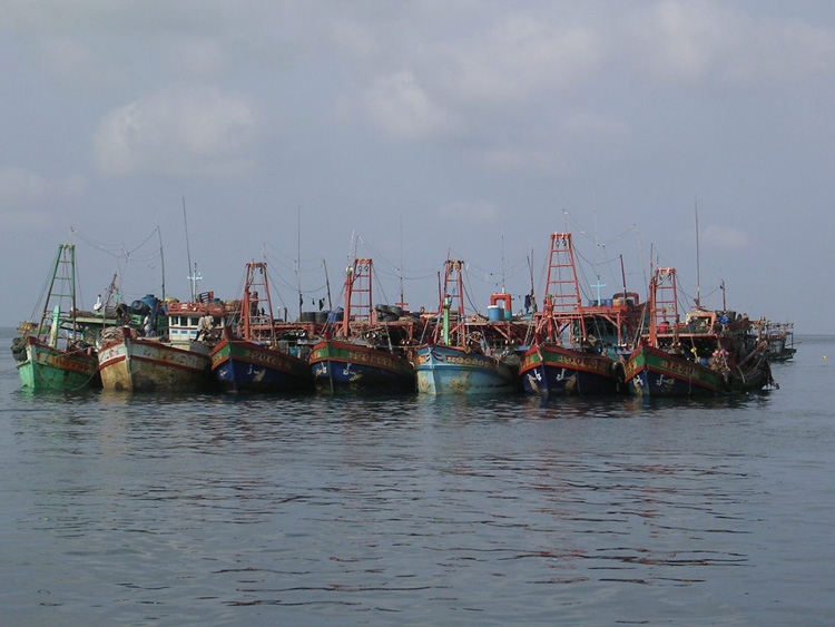 Kiên Giang tăng cường quản lý và tuyên truyền cho ngư dân về chống khai thác IUU